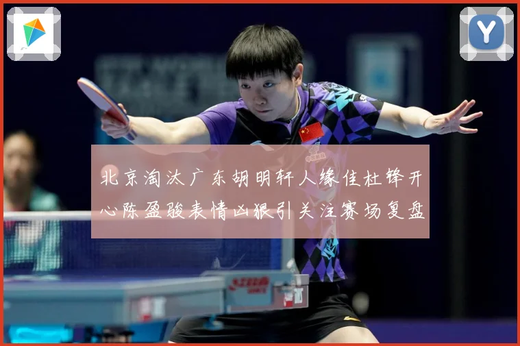 北京淘汰广东胡明轩人缘佳杜锋开心陈盈骏表情凶狠引关注赛场复盘-深度解析