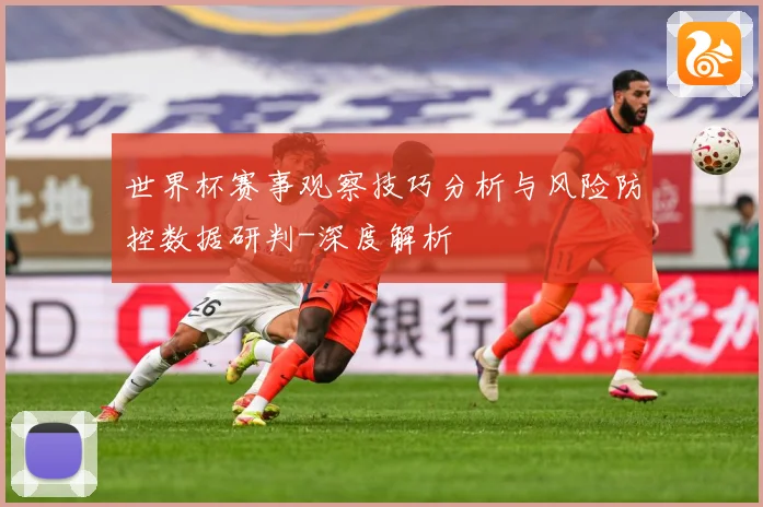 世界杯赛事观察技巧分析与风险防控数据研判-深度解析
